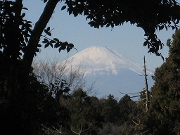 鎌倉 (4).jpg